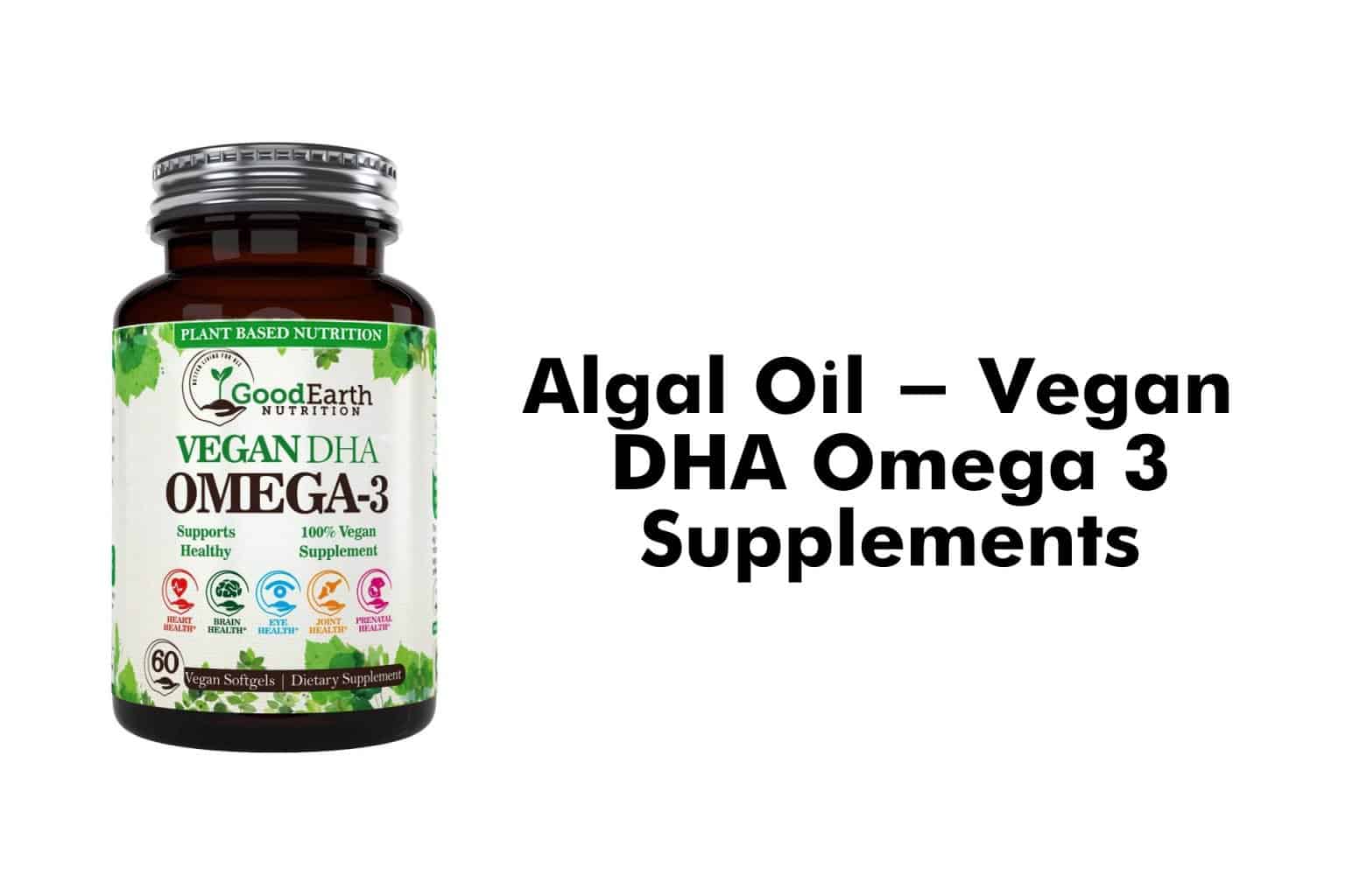 10 Best Organic Omega 3 Supplement — Loyal Organic