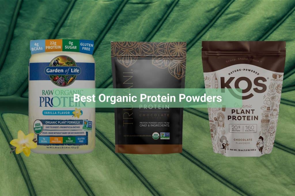 10 Best Organic Protein Powders — Loyal Organic